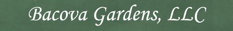 Bacova Gardens Website